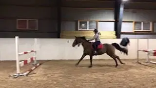 sprangtrening 11.12.18
