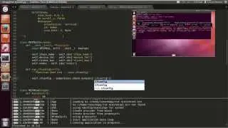 Scapy / Kivy-Tut-4(Ifconfig to our label)