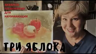 Акварель по-мокрому для начинающих. Три яблока. Watercolor.