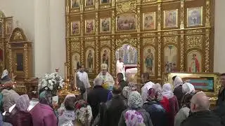 Божественная литургия и панихида в Троицкую Родительскую субботу.
