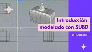 Introducción a SUBD con Rhinoceros 8