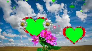 Wedding green screen heart frame   wedding heart background effect