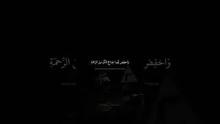وَاخفِض لَهُما جَناحَ الذُّلِّ مِنَ الرَّحمَةِ | محمد صديق المنشاوي | سورة الإسراء