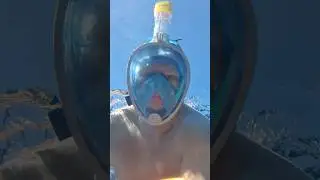 Кайфовый риф Красного моря (Шарм Эль Шейх)