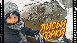 Лисьи горки