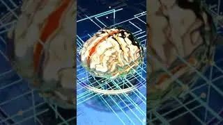 The Evolution of Artificial Intelligence: From Past to Present to Future