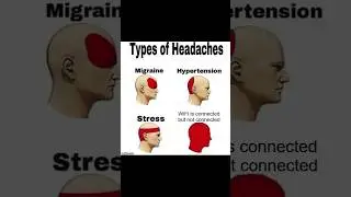 Relatable Memes v28 