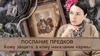 Послание предков 👵🏼👴🏼 Кому защита, а кому наказание кармы?