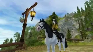 [SSO]HOW TO SWIM WITH YOUR HORSE?!