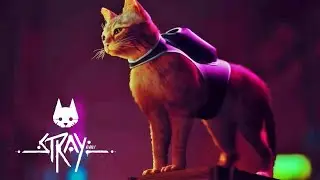 #Stray -  Полное прохождение в один стрим (Stray Full walkthrough) Игра про кота!
