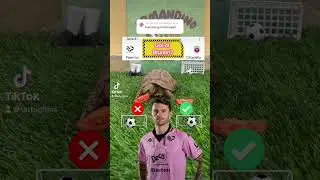 Farà gol?😏⚽️ #calcio #turtle #fantacalcio #seriea #palermo #serieb #football