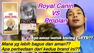 PERBANDINGAN MAKANAN KUCING DRY FOOD ROYAL CANIN DAN PROPLAN - Lebih bagus Royal Canin atau Proplan