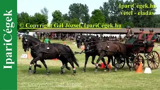 Fogathajtás, HORSE FOUR-IN-HAND 3*, Vecsés, 2022., Akadályhajtás, 4K, sv4K220605-C029-4184-230918