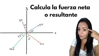 CALCULAR LA FUERZA NETA O RESULTANTE DADA LA GRÁFICA