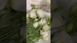 Красивое пожелание доброго утра.