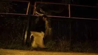 Soy amigos de los que son mis amigos y me basta.