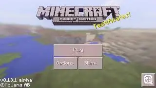 I GOT DUCK IN MY WORLD- Minecraft