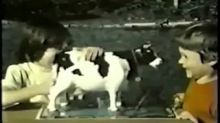 Milky The Marvelous Milking Cow (1977)