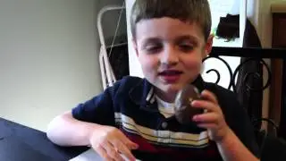 A Marshmallow Duck