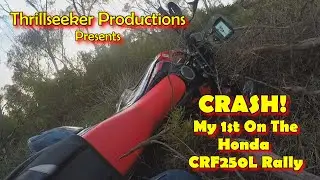 Crash! Honda CRF250 Rally My 1st....