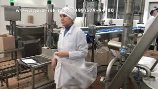 Маркировка картонных коробов в линии по формированию и укладки молочных пакетов в картонные короба