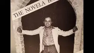 The Novela Band Te Fuiste