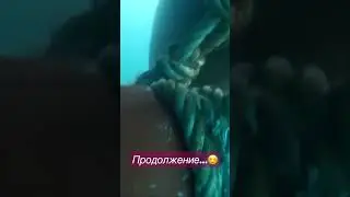 Намотали  швартовый на винт …