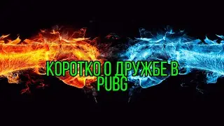 Коротко о дружбе в PUBG