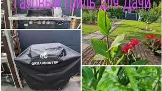 vlog 🇩🇪 Наша дача в Германии 🏕/ Traumgrill Газовый Гриль с Конфоркой/Томаты/Огурцы их не узнать