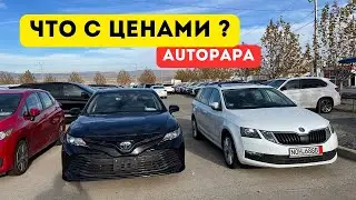 Цены на рынке AUTOPAPA в Грузии. Декабрь 2023