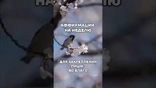 АФФИРМАЦИИ НА НЕДЕЛЮ #аффирмации #аффирмациидня #саморазвитие #мысли #подсознание #вселенная