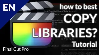 🎬 Using the 