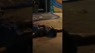 The hardest skate fall (bail) EVER!! At the bar drunk skating the usual 🛹😙 #hallofmeat #thrasher