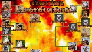 Ultimate Animal Showdown Tournament - Arena 3: Cliffside!