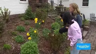 Daffodil Season