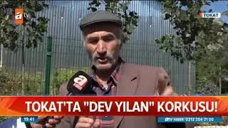TOKAT'ta Dev Yılan Efsanesi Görende Görmeyende Çok Korkuyor