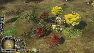 The Handmaidens of Galadriel Have Come! | How to Play Lothlorien (Age of the Ring mod) | BFME Guide