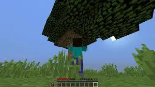 Survival Hardcore Minecraft Cap#1