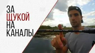 Ловля щуки в августе. Рыбалка в конце лета. Спиннинг на польдерных каналах.