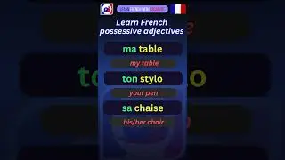 French possessive adjectives #learnfrench