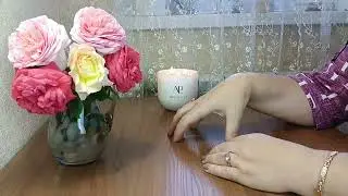 #319 Кто в итоге руководит Матрицей👫🌍👭