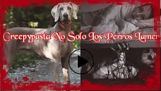 Creepypasta No Solo Los Perros Lamen