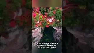 #аватарлегендаобаанг #аватар съёмки фильма @Маришкины делишки