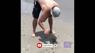 Funny Crazy Animals | Fail Out