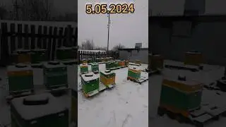 5 мая 2024 