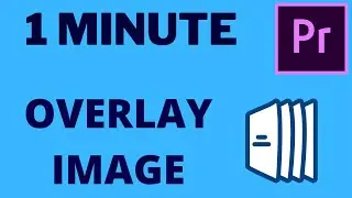 How to Overlay Image in Premiere Pro 2021