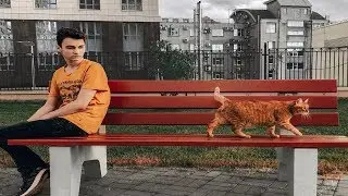 БРАЙН МАПС МОМЕНТЫ С ТИГРОЙ 3 (INSTAGRAM STORY)
