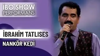 Nankör Kedi | İbrahim Tatlıses | İbo Show Performans