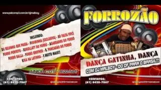 Os melhores forró do dj malboy part 04