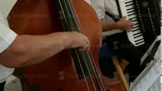 Hand of the musician on the bass strings